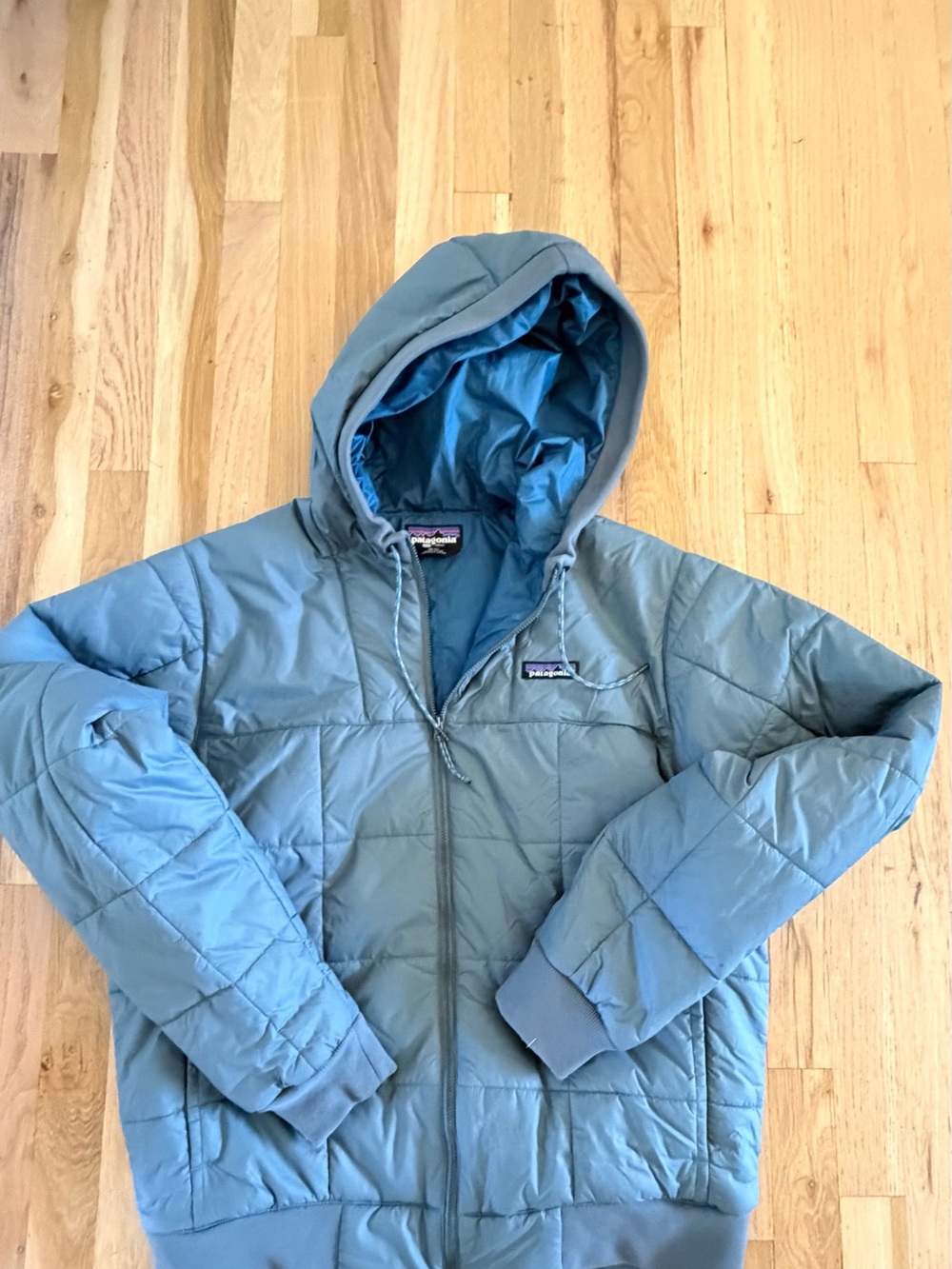 Patagonia Mens Hooded Puffy Jacket in blue